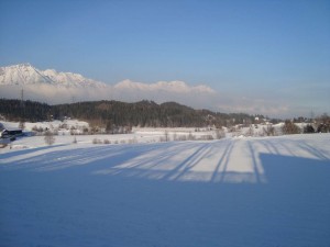 View From Igls